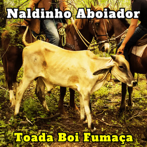 Naldinho Aboiador - Toada Boi Fumaça