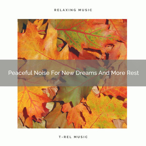 Peaceful Noise For New Dreams And More Rest album