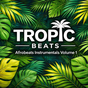 Tropic Beats - So So Nice