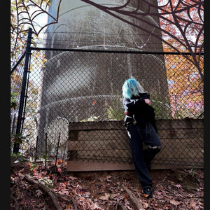 spiderweb