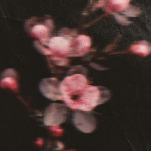 Dawn of Life by LYV, LYVING RECORDS