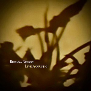 From Moon to Moon - Live Acoustic by Brianna Nelson