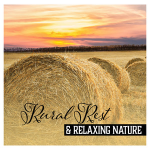 Rural Rest & Relaxing Nature: Countryside Atmosphere, Blessing of Silence, Calm Holiday, Living at Peace, Journey & Reflection album