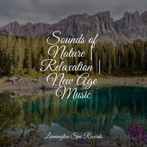 Sounds of Nature | Relaxation | New Age Music album