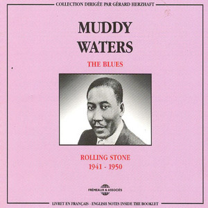 未開封 Rollin' / Stone WATERS LP+CD MUDDY