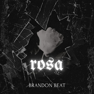 rosa by brandon beat