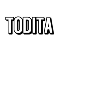 TODITA by nintendos dop