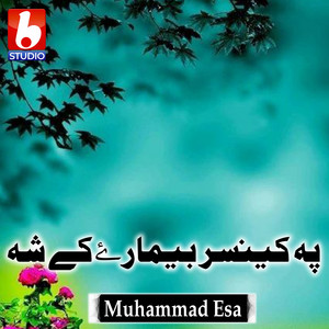 Muhammad Esa - پہ کینسر بیمارۓکے شہ