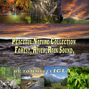 Meadow Symphony (Crickets) [Flies] [Birdsong] by tommyleeIGLA