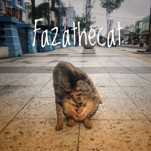 fazathecat - Cat at the Cafe