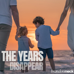 THE YEARS DISAPPEAR by Brandon Meck