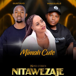 Nitawezaje (feat. Gustavo & Wakulele)