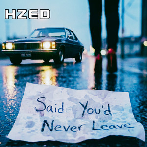 Said You'd Never Leave by HZed, Dave Leslie