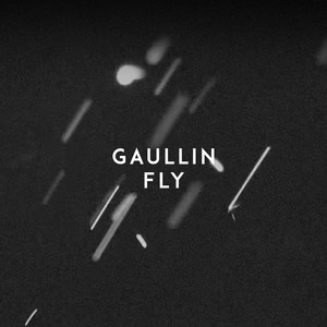 Fly by Gaullin