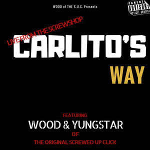 Hot Ninja by Wood, Yungstar