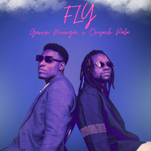 Fly by Garvin Mungai, Onyach Pala
