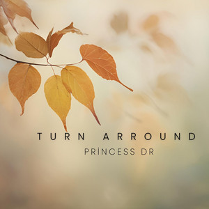 turn arround by princess dr