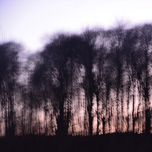 Horizons