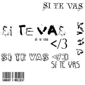 si te vas by sambaby, Mnelbeat