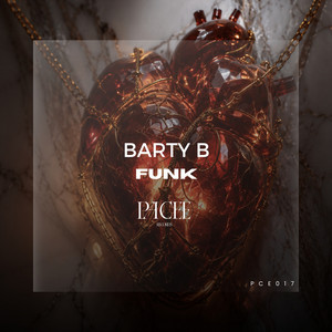 Funk - Radio Edit by BARTY B
