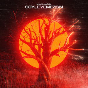 Söyleyemezsin by Neta, melfete