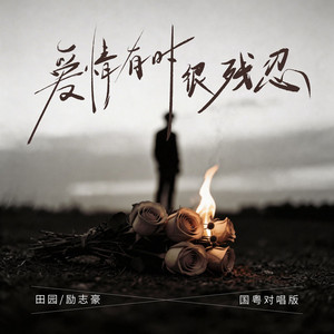 爱情有时很残忍 - 国粤对唱版 by 田园, 励志豪