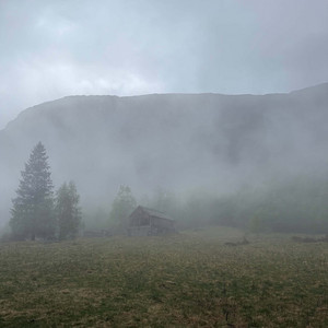mondays by quiet june, sereleaf