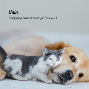 Rain: Comforting Ambient Music for Pets Vol. 1 album