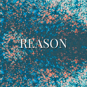 Reason by Terrex
