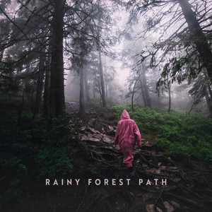 Rainy Forest Path: Evening Shower of Good and Tranquil Dreams album