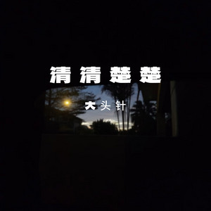 清清楚楚 by 大头针