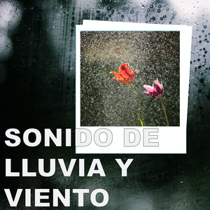 Sonido de Lluvia y Viento