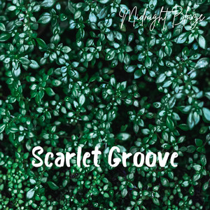 Midnight Blaze - Scarlet Groove