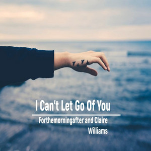 I Can't Let Go of You