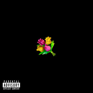 flowers by GHO$†BOY, braidedpiercing