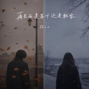 再见面是落叶还是飘雪 ｜R&B 抖音歌 完整版｜-拾三三 by 你的名字-七七