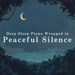 Deep Sleep Piano Wrapped in Peaceful Silence
