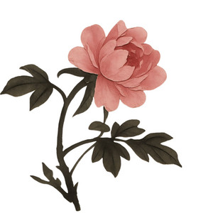 花衣 by Yuka