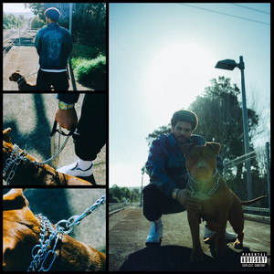 Portada de HOOD MENTALITY