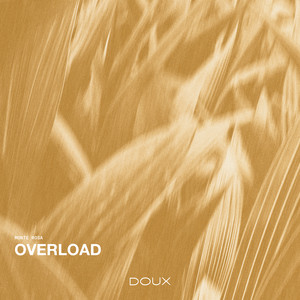 Overload by Monte Rosa