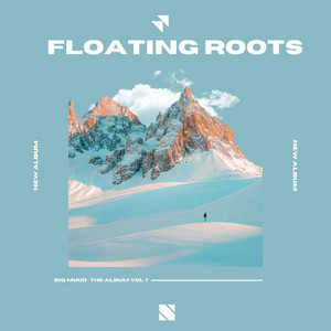 FLOATING ROOTS by Solid Music