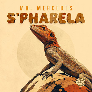 Walls Have Ears by Mr. Mercedes, Thabo Smol, Spice Drums