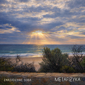 zarzadzanie soba by metafizyka