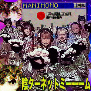 陰ターネットミーーーム by NANIMONO