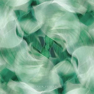 Organic Harmony by Tom Yevich