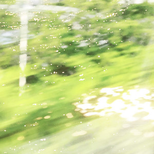 마음숲 Forest