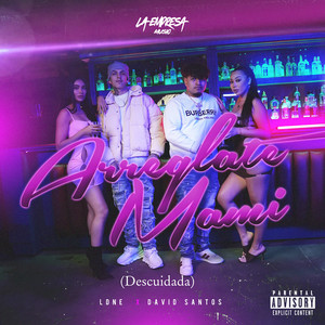 Arréglate Mami by LDNE, David Santos
