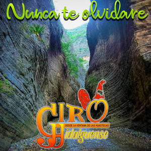 Nunca Te Olvidare by Trio Giro Hidalguense