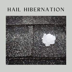 Hail Hibernation album