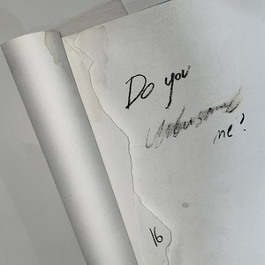 Do you understand me? by Len